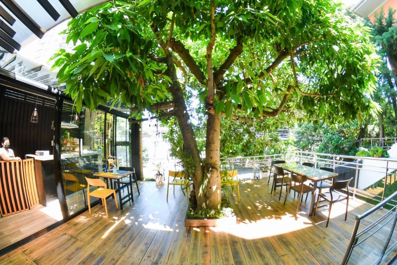 Kaleo Hotel Boutique Сан Салвадор Екстериор снимка